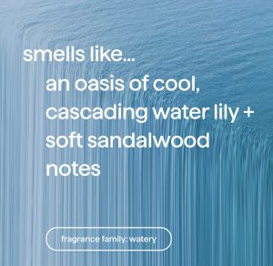 gel hand wash refill – waterfall. 34 fl oz 1