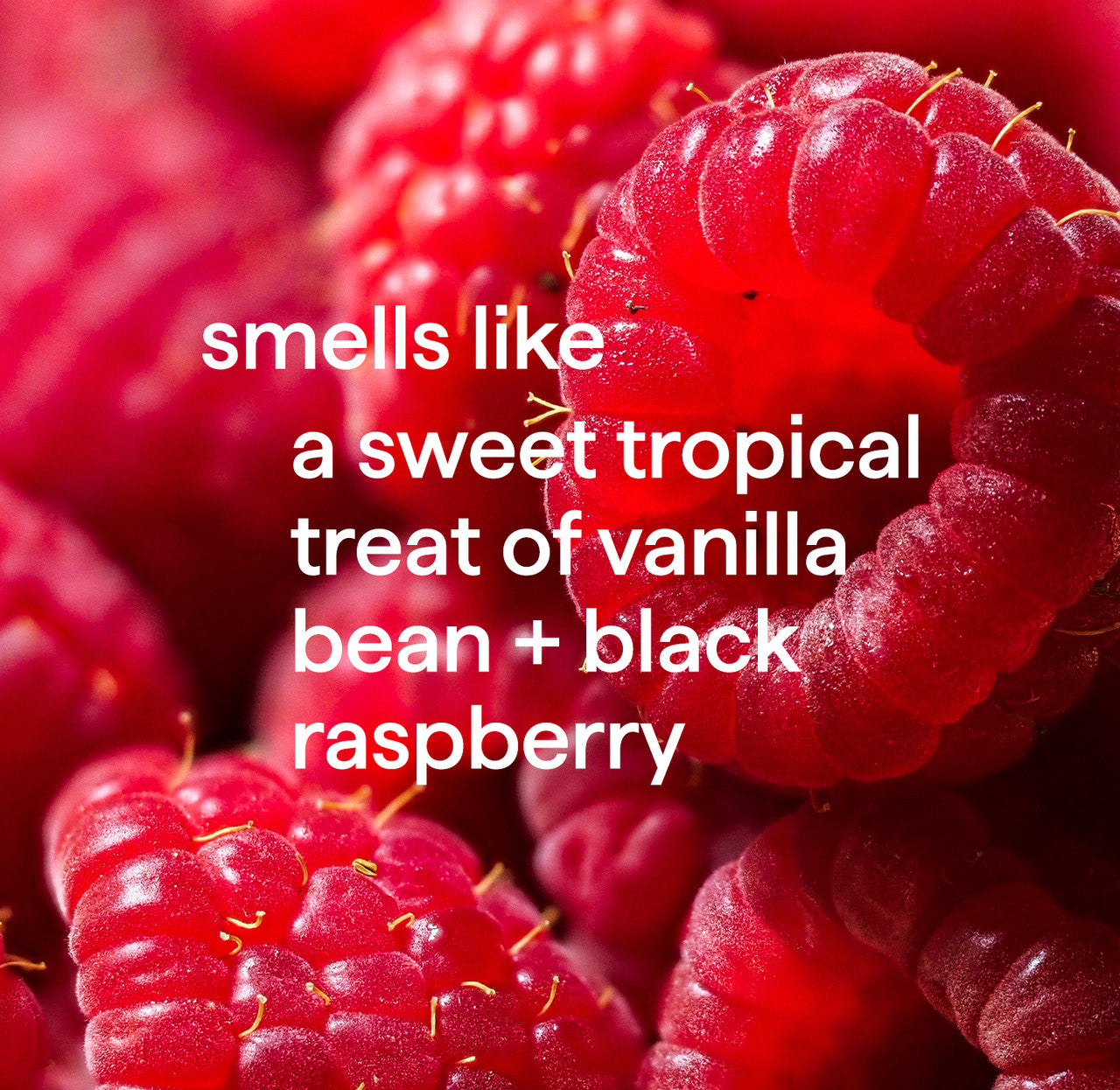Hand_Vanilla_Rasperberry_Fragrance__78323__32748.1726062650.1280.1280_30ef279c-0089-44cc-8849-b5d312ce8c2c.jpg